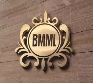 Home 1 buddy metals logo 3d